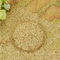 white millet with the cheapest price